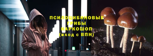 экстази Белокуриха