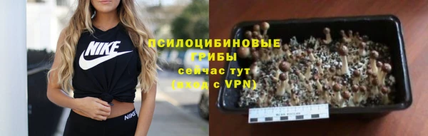 экстази Белокуриха