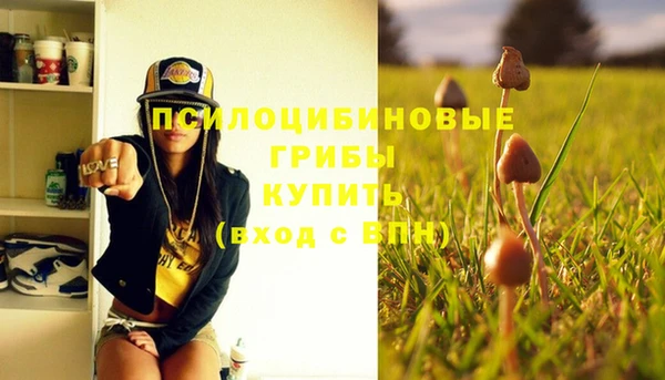 экстази Белокуриха