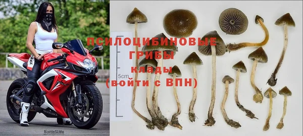 экстази Белокуриха